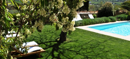 Un gazon tondu de façon professionnelle pour profiter d'un beau jardin